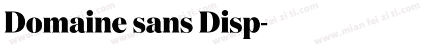Domaine sans Disp字体转换